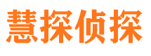 洪湖侦探公司